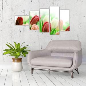 Tulipány, obraz (Obraz 110x60cm)