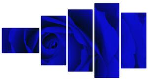 Detail modré ruže - obraz (Obraz 110x60cm)