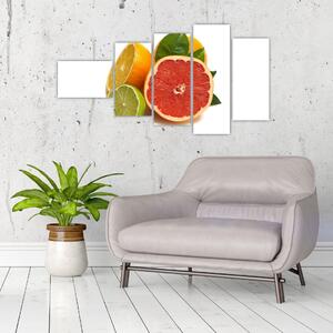 Citrusové plody - obraz (Obraz 110x60cm)