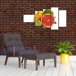 Citrusové plody - obraz (Obraz 110x60cm)