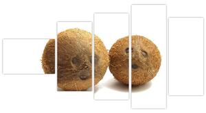 Kokosový orech, obraz (Obraz 110x60cm)