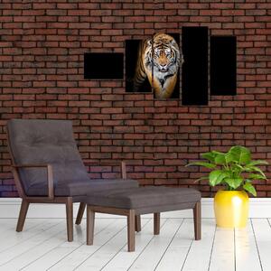 Tiger, obraz (Obraz 110x60cm)
