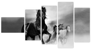Čiernobiely obraz koňov (Obraz 110x60cm)