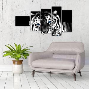 Obraz tigra s mláďaťom (Obraz 110x60cm)