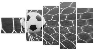 Futbalová lopta v sieti - obraz (Obraz 110x60cm)