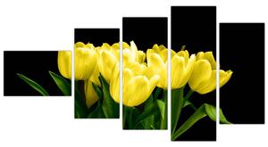 Tulipány - obraz (Obraz 110x60cm)