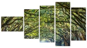 Aleje stromov - obraz (Obraz 110x60cm)