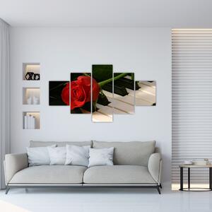 Obraz ruže na klavíri (Obraz 125x70cm)