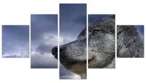 Obraz vlka (Obraz 125x70cm)