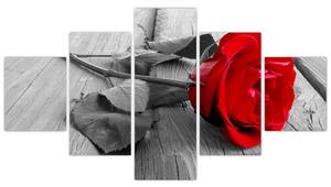 Obraz ruže s červeným kvetom (Obraz 125x70cm)