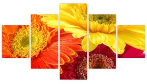 Obraz kvetov (Obraz 125x70cm)