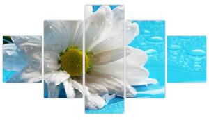 Obraz kvetu margaréty (Obraz 125x70cm)