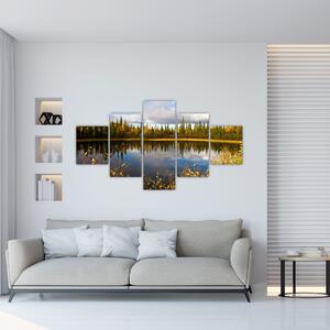 Obraz na stenu - lesné jazierko (Obraz 125x70cm)