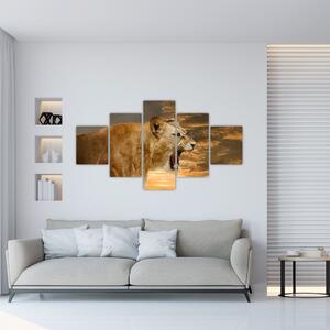 Obraz revúceho leva (Obraz 125x70cm)