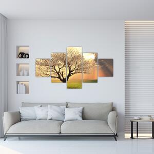 Obraz prírody - strom (Obraz 125x70cm)