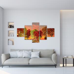 Obraz prírody - farebné stromy (Obraz 125x70cm)