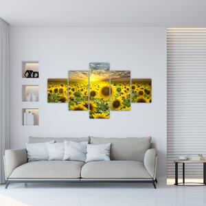 Obraz slnečníc (Obraz 125x70cm)