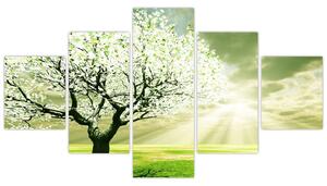 Jarný strom - moderný obraz (Obraz 125x70cm)