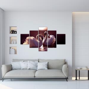 Moderný obraz - labute (Obraz 125x70cm)