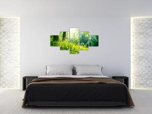 Moderné obrazy prírody (Obraz 125x70cm)