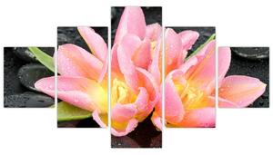 Obraz kvetov (Obraz 125x70cm)