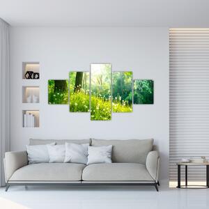 Moderné obrazy prírody (Obraz 125x70cm)