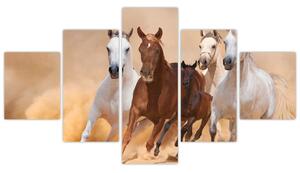 Obrazy bežiacich koní (Obraz 125x70cm)