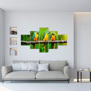 Moderný obraz - papagáje (Obraz 125x70cm)