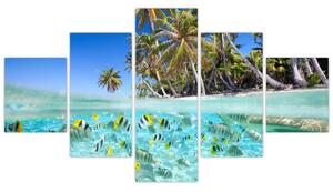 Obraz tropického mora (Obraz 125x70cm)