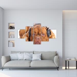 Moderný obraz - pes so slúchadlami (Obraz 125x70cm)