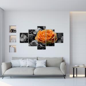 Oranžový kvet na čiernobielom pozadí - obraz (Obraz 125x70cm)