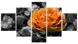 Oranžový kvet na čiernobielom pozadí - obraz (Obraz 125x70cm)