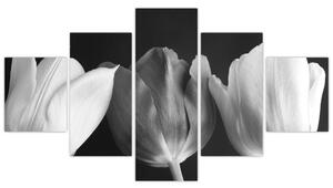 Čiernobiely obraz - tri tulipány (Obraz 125x70cm)