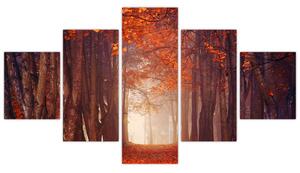 Jesenné les - obraz (Obraz 125x70cm)