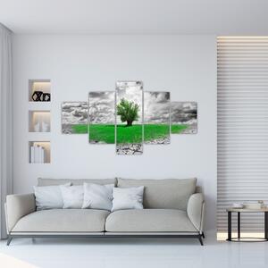 Zelený ostrov vo vyprahnutej krajine - obrazy do obývačky (Obraz 125x70cm)