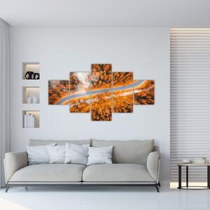 Cesta lesom - moderné obrazy na stenu (Obraz 125x70cm)