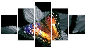 Motýľ na liste - obraz (Obraz 125x70cm)