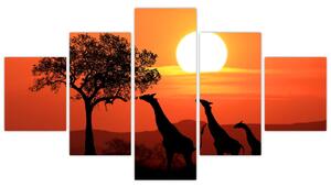 Obraz žirafy pri západe slnka (Obraz 125x70cm)