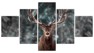 Obraz - jeleň v zime (Obraz 125x70cm)