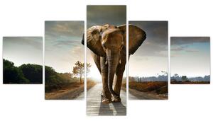 Obraz kráčajúceho slona (Obraz 125x70cm)