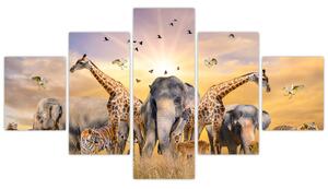 Obraz - safari (Obraz 125x70cm)