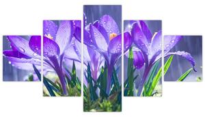 Obraz kvetov pri daždi (Obraz 125x70cm)