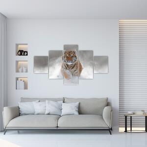 Obraz bežiaceho tigra (Obraz 125x70cm)