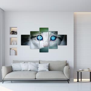 Obraz mačky, žiarivé oči (Obraz 125x70cm)