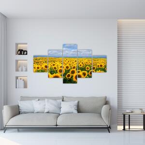 Obraz - slnečnica (Obraz 125x70cm)