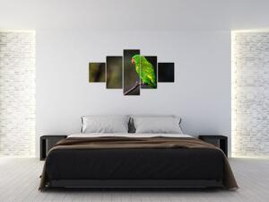 Obraz zeleného papagája (Obraz 125x70cm)