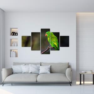 Obraz zeleného papagája (Obraz 125x70cm)