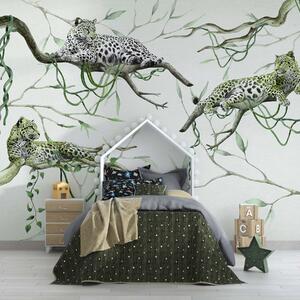 Tapety Leopardy na stromoch džungle, liany, tropické, divoké zvieratá, zelená paleta, Fototapety s lesom, Fototapety džungľa, w03146v1 : Uwalls.sk