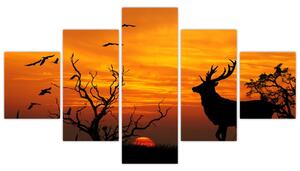 Obraz - jeleň na jesenné lúke (Obraz 125x70cm)