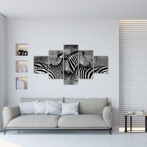 Obraz - zebry (Obraz 125x70cm)